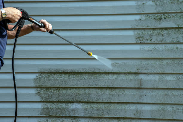 Best Soft Washing  in Absecon, NJ