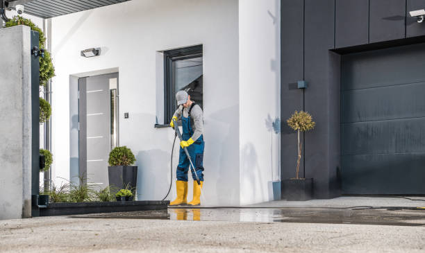 Best Animal Enclosure Cleaning  in Absecon, NJ
